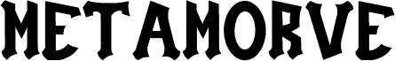 Metamorve police