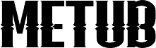 METUBtrial Regular police