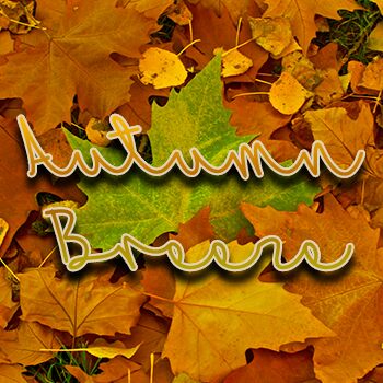 Mf Autumn Breeze Schriftart