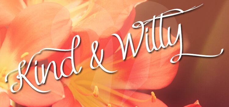 Mf Kind & Witty Czcionka