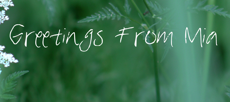 Mia's Greetings Druh písma
