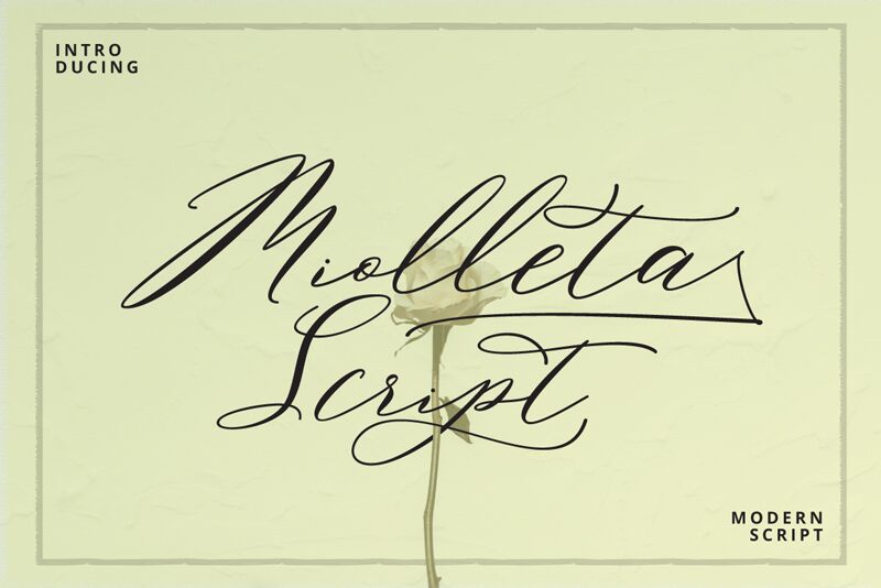 Miolleta Script Schriftart