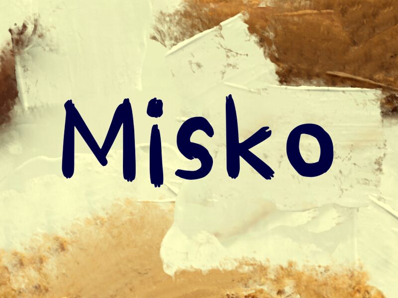 عرض ونموذج مرئي لخط Misko
