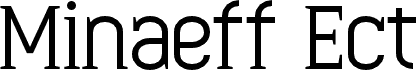 Minaeff Ect
