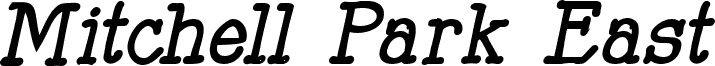 Mitchell Park East Bold Italic