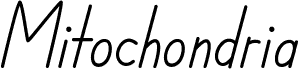 Mitochondria