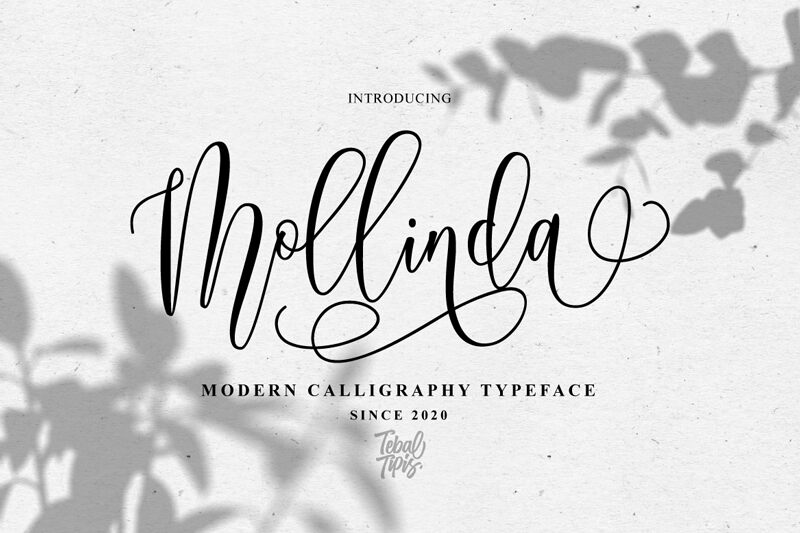 Mollinda Script Font