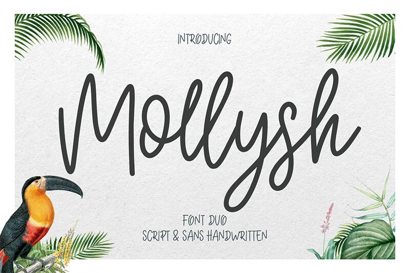 Mollysh Script Carattere
