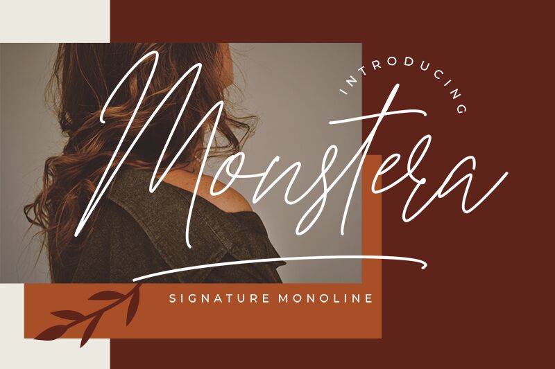 Monstera Czcionka