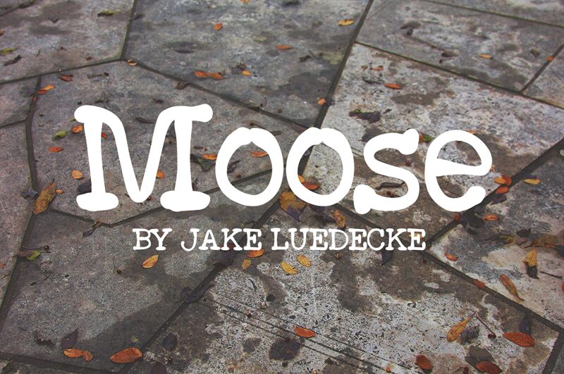 Moose Schriftart