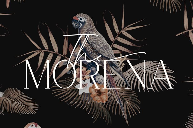 Morena Schriftart