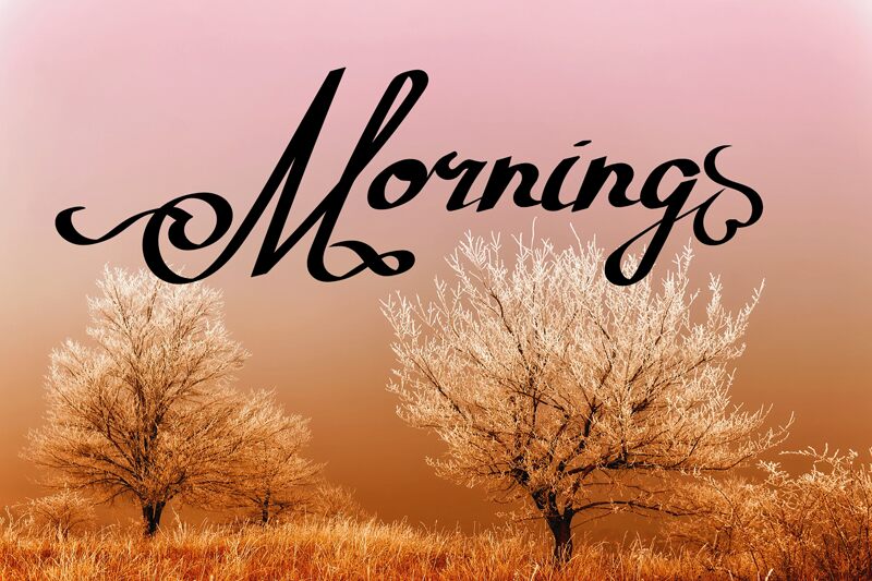 Morning フォント