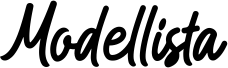 Modellista