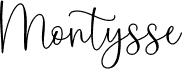 Montysse Demo