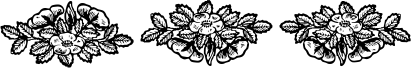 Mortised Ornaments Free Two