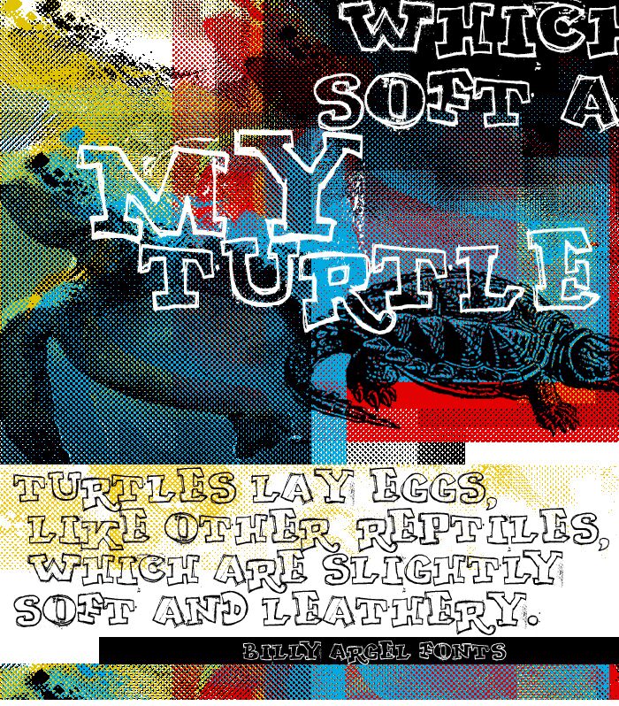 MY TURTLE Carattere