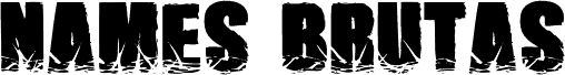 NamesBrutas