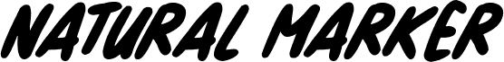 Natural Marker Italic