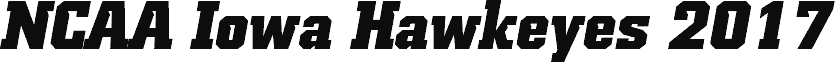 NCAA Iowa Hawkeyes 2017 Italic BoldItalic