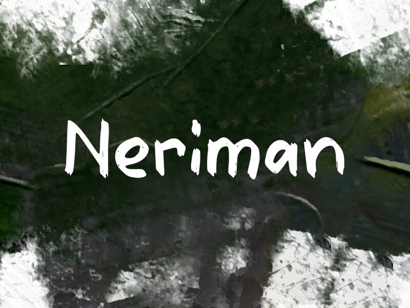 n Neriman 字体