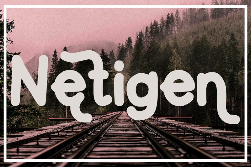 Netigen Font