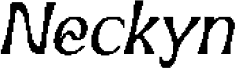 Neckyn Pixel Demo Regular