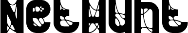 NetHunt