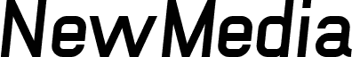 NewMedia Bold Italic