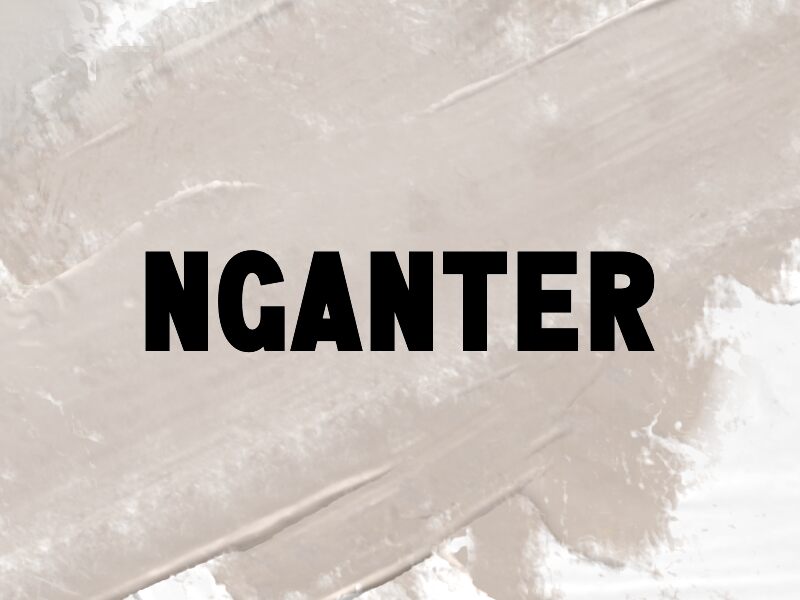 n Nganter 字体