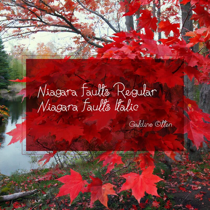 Niagara Faults Police