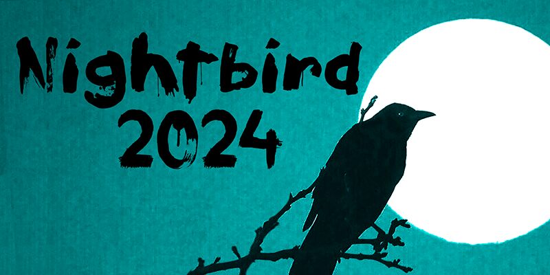 Nightbird 2024 Schriftart