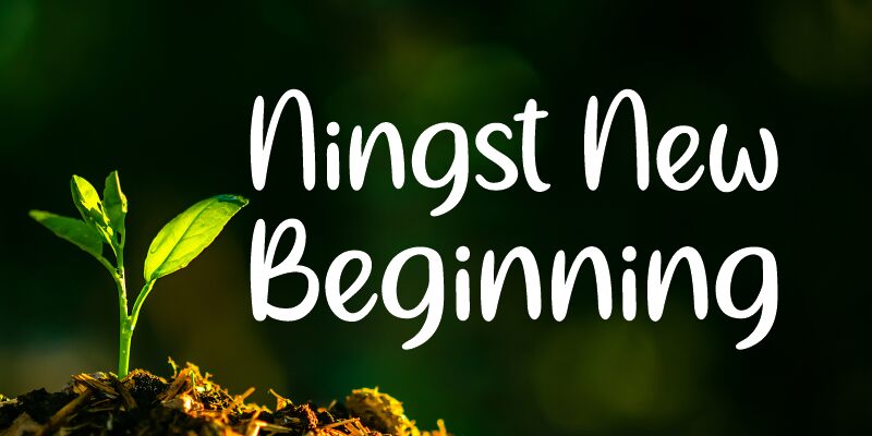 Ningst New Beginning Schriftart