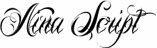 Nina Script Demo