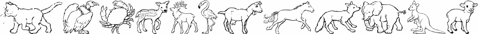 Nina's Animals