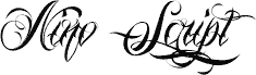 Nino Script PERSONAL USE ONLY