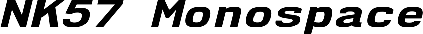 NK57MonospaceExEb-Italic