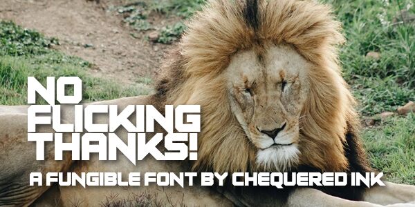 No Flicking Thanks! Schriftart