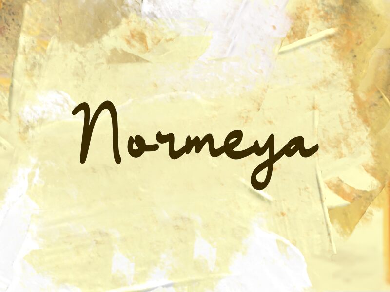 n Normeya 字体