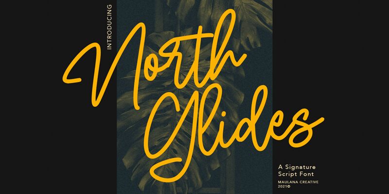 North Glides Druh písma