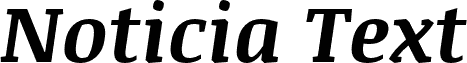 Noticia Text Bold Italic