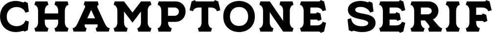 NS Champtone Serif