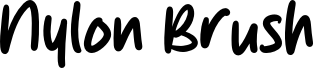 Nylon Brush