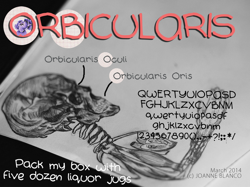 Orbicularis الخط 