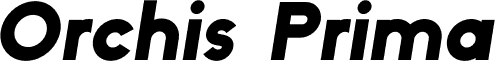 Orchis Prima Bold Italic