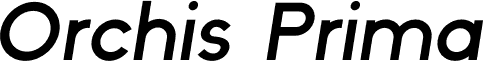 Orchis Prima Demi Italic