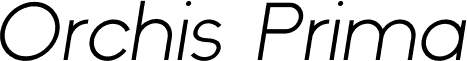 Orchis Prima Italic