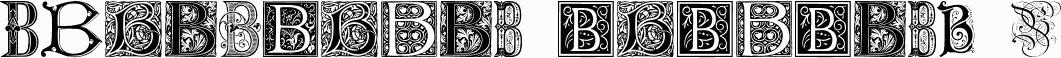 Ornamental Initials B