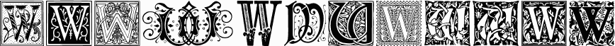 Ornamental Initials W