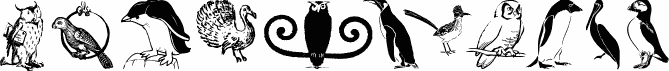 OwlsAndMore
