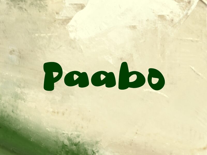 Paabo 字体